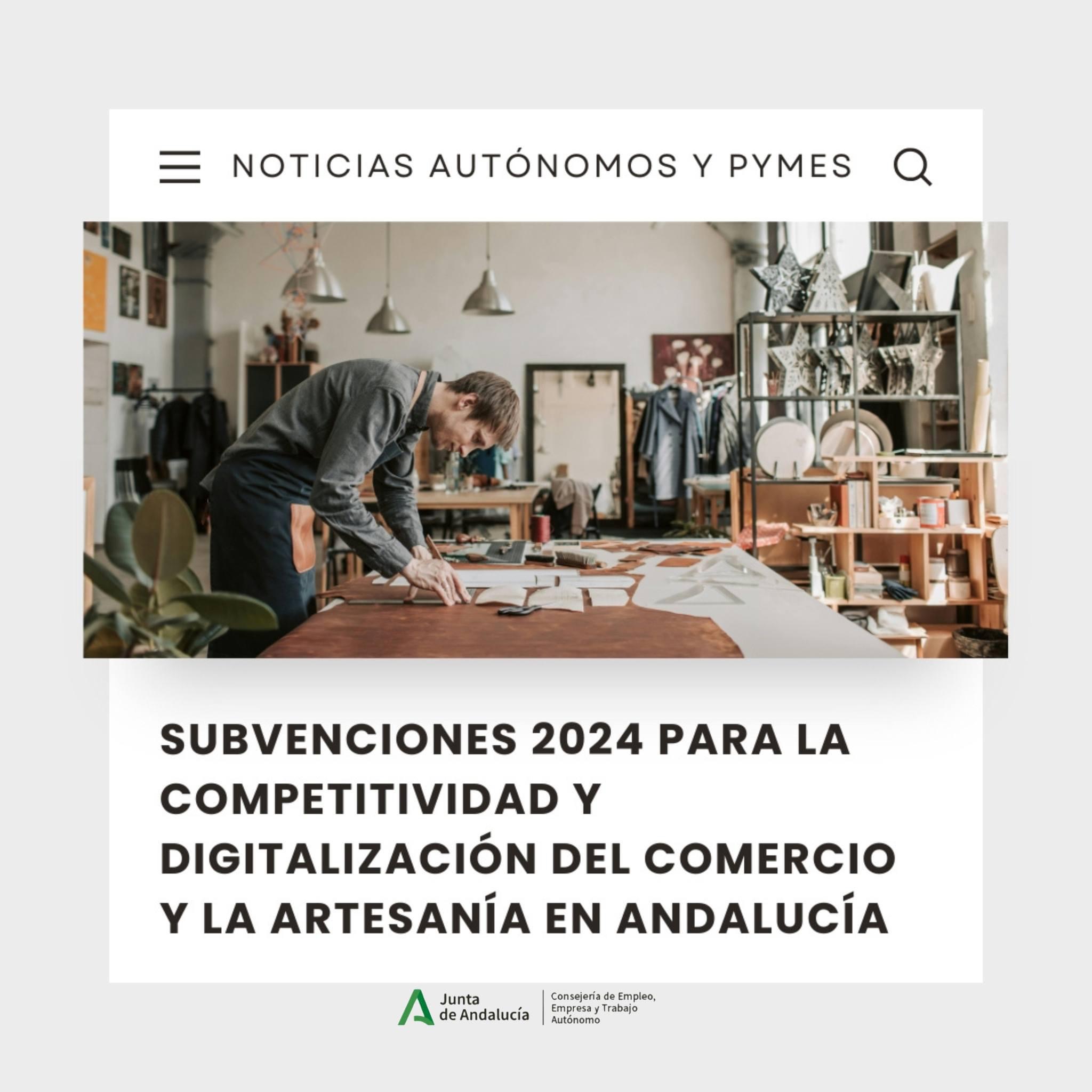 SUBVENCIONES PARA LA DIGITALIZACIÓN DEL SECTOR COMERCIAL Y ARTESANO EN ...